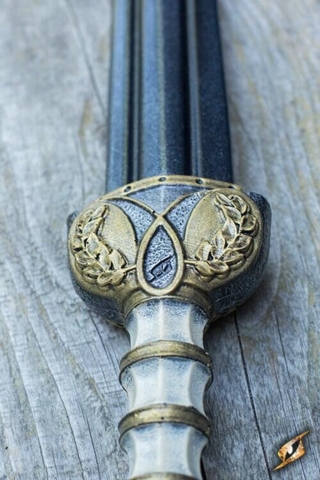 Spatha Sword 85 cm Guard