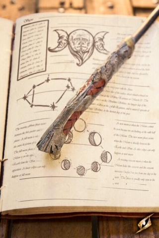 Sendivogius - Wand - 34 cm - Silver - Greb