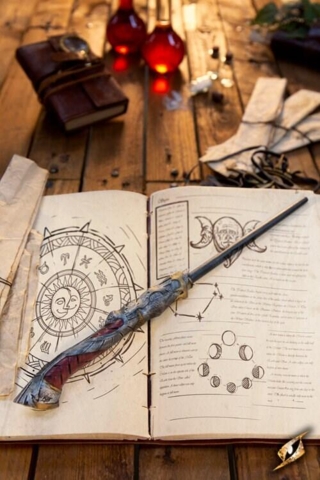 Sendivogius - Wand - 34 cm - Silver