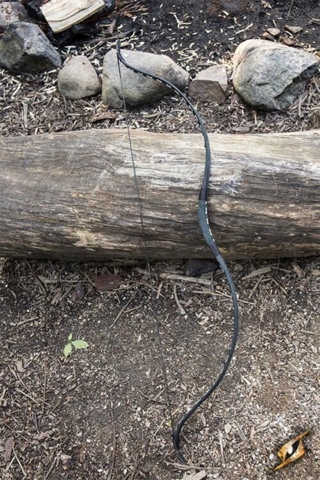 Squire Bow - M - Black