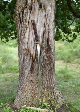 BattleBlades, Sengoku Busho Shinken