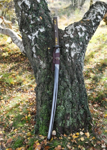 BattleBlades, Senshi Erai Hito No Katana