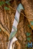 Elven Hunter Blade 75 cm Ivory White/Green